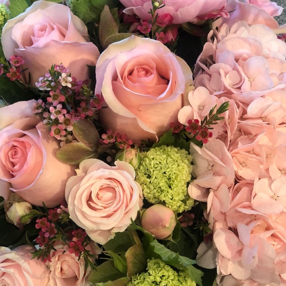 Meet your Posher! - Picture 1 of 1